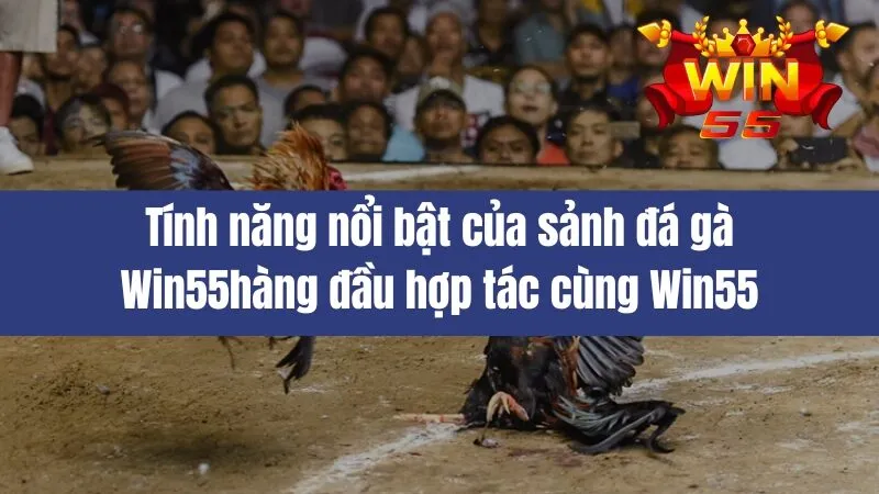 Đá Gà Win55
